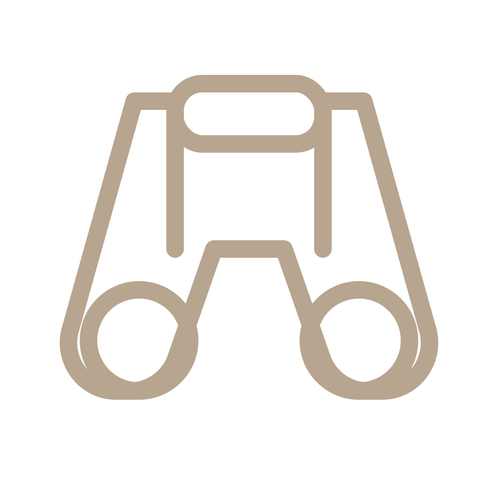 binoculars